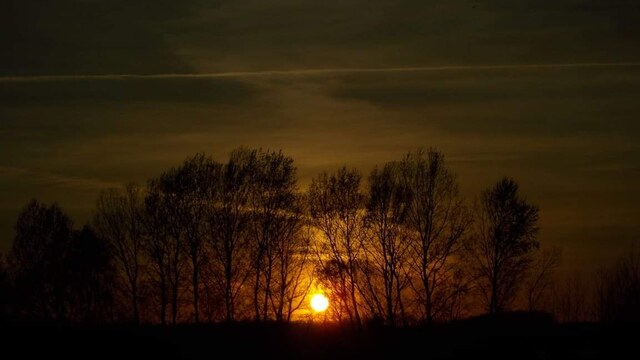 124. számú profil – Ismeretterjesztő előadás