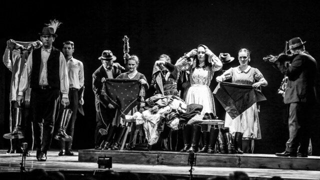 106. számú profil – Énekes műsor • Táncest • Tàncszínház