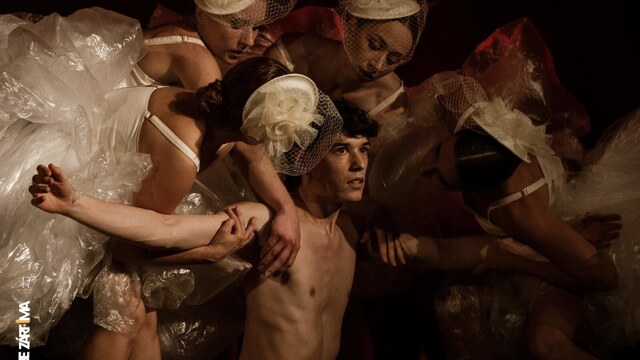 132. számú profil – Balett • Ismeretterjesztő előadás • Színpadi show • Tàncszínház • Utazó színház • Zenés produkció