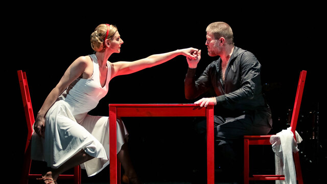 41. számú profil – Énekes műsor • Prózai előadás • Színpadi show • Zenés előadás